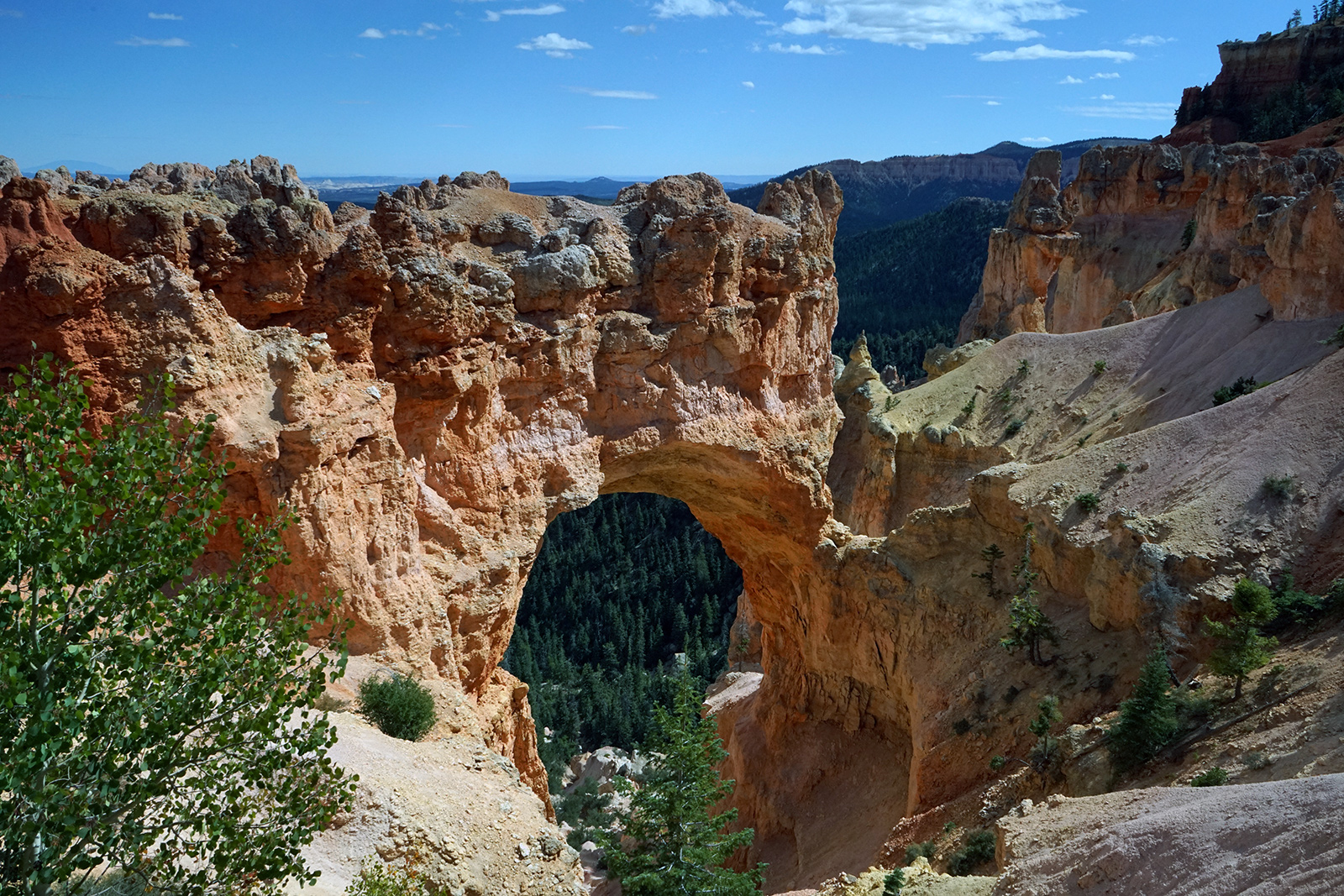 There are even some cool arches formed in the red rocks of Bryce Canyon