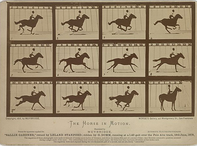 *The Horse in Motion* by Muybridge