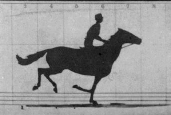 *The Horse in Motion* by Muybridge, as a gif