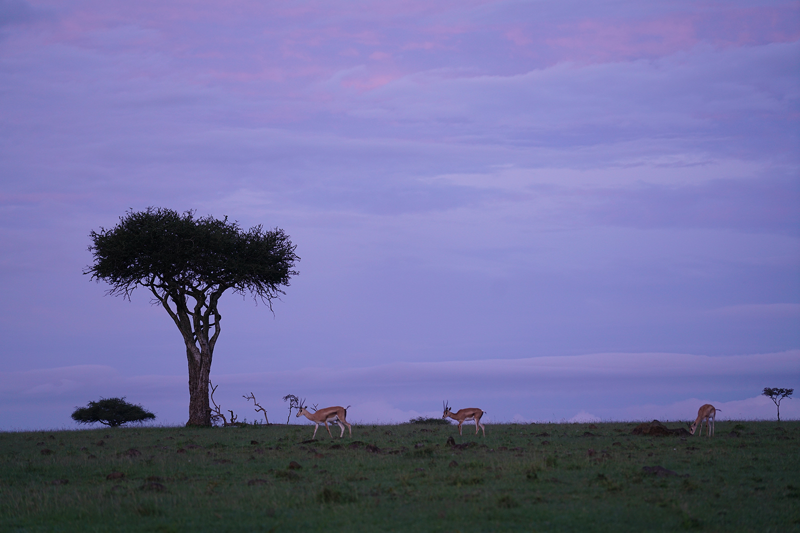 The landscape in Mara is absolutely stunning