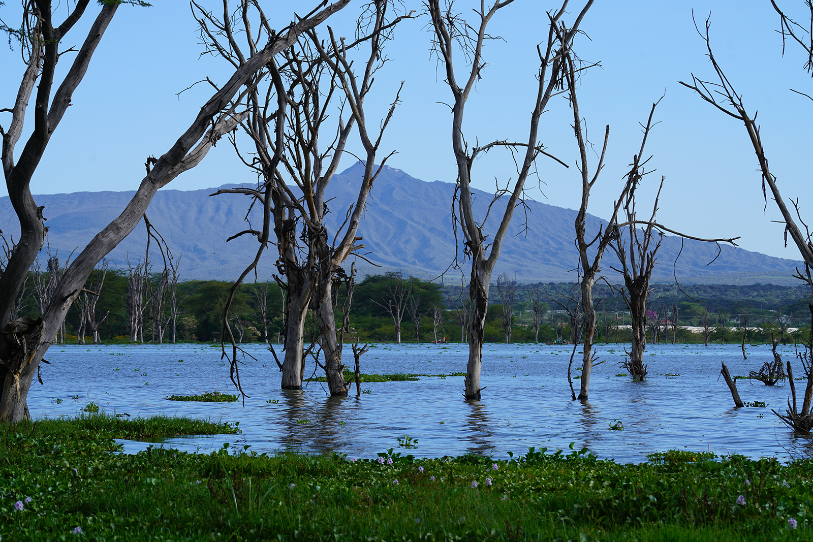 Crescent Island Sanctuary and Lake Naivasha